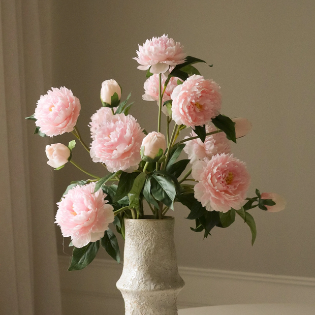 Pioen - roze