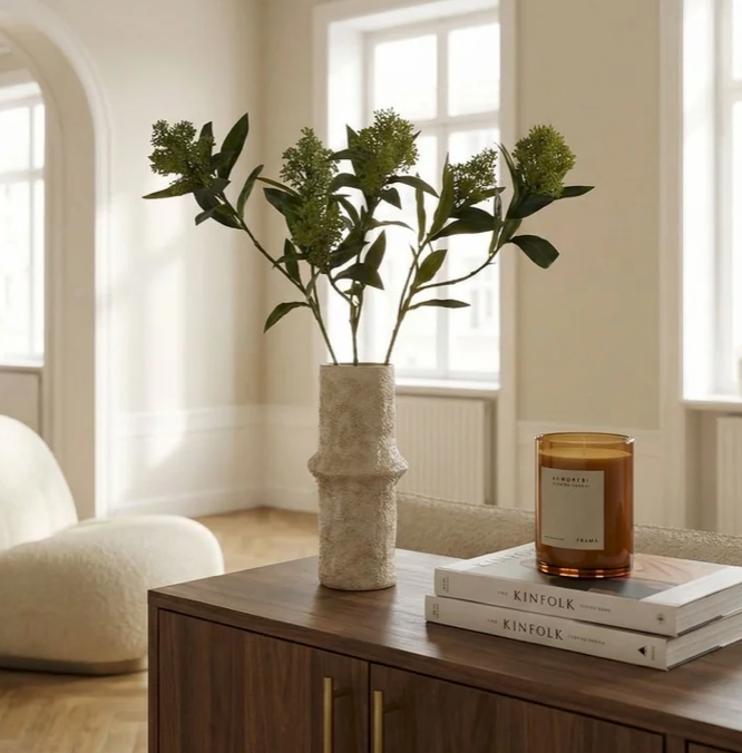 Skimmia