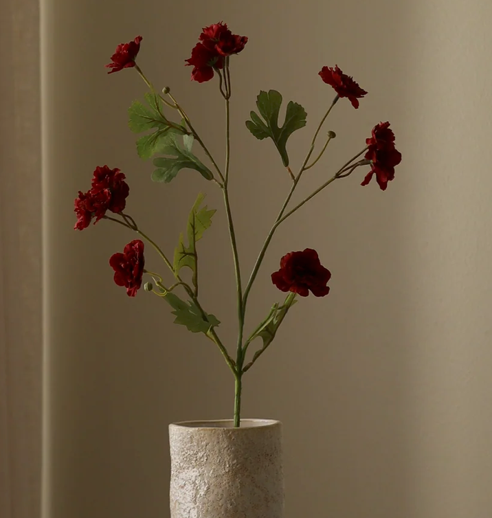 Zinnia - donker rood