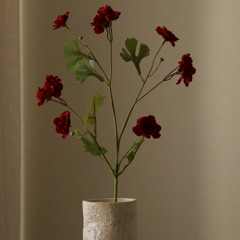 Zinnia - donker rood