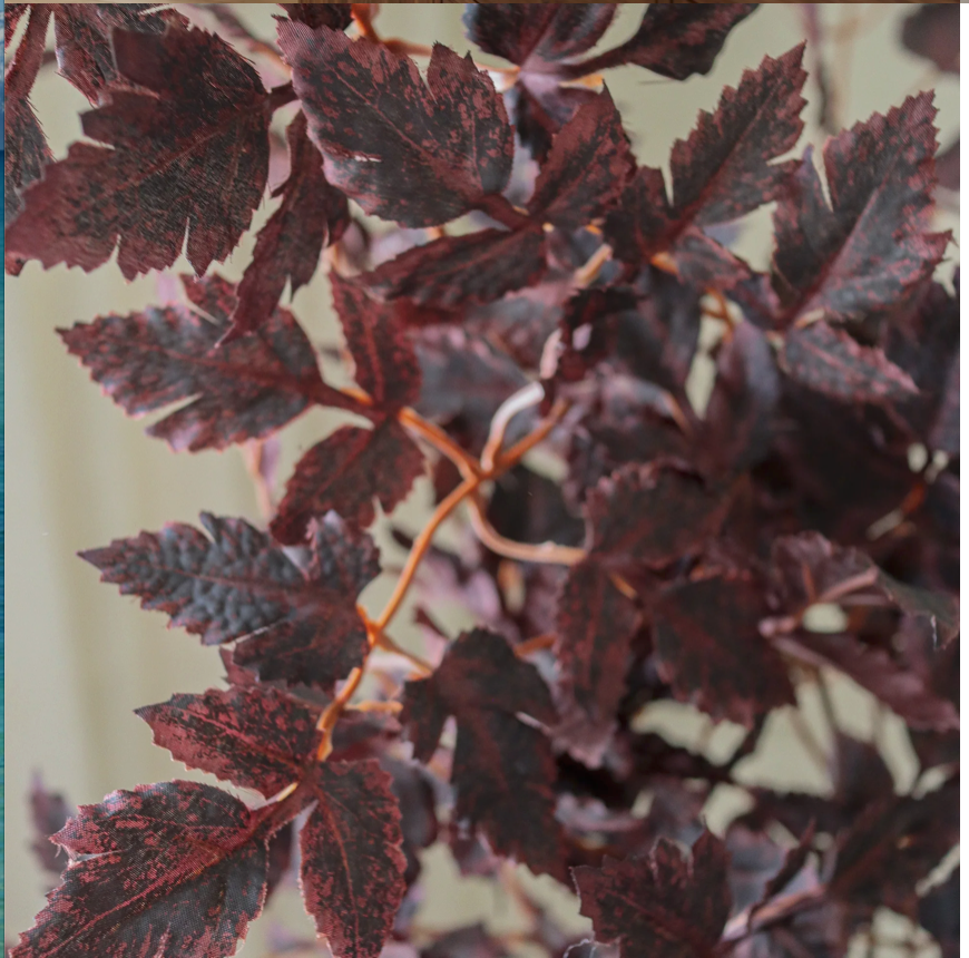 Plum bladeren tak