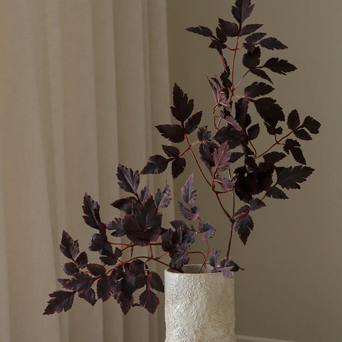 Plum bladeren tak