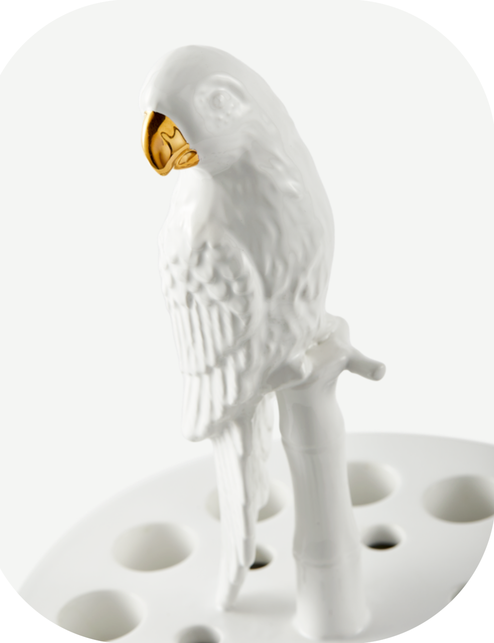 Bird watching vase