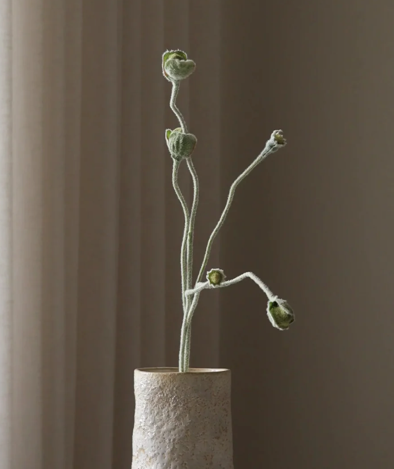 Klaproos in knop