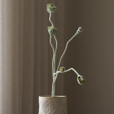 Klaproos in knop