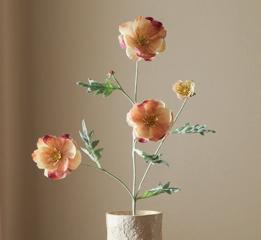 Klaproos - 4 bloemen