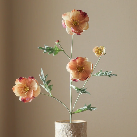 Klaproos - 4 bloemen