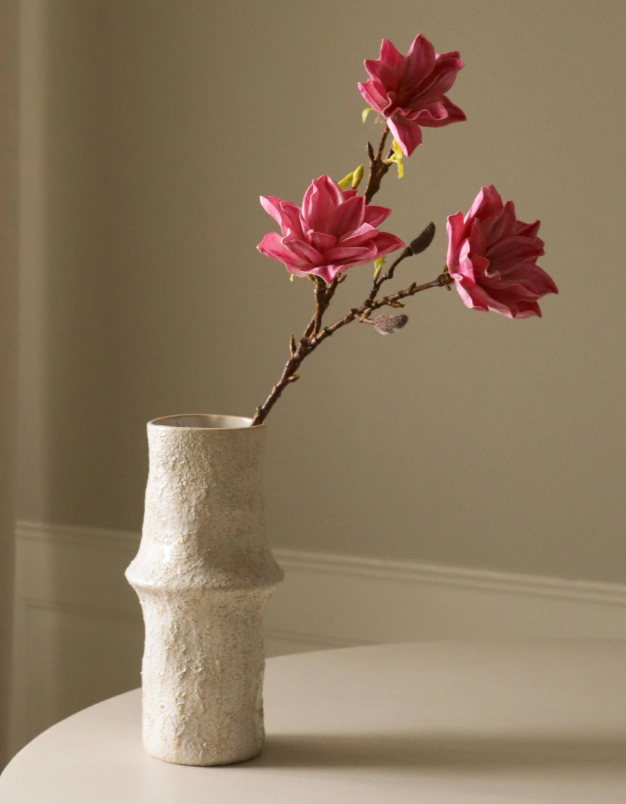 Magnolia - tak