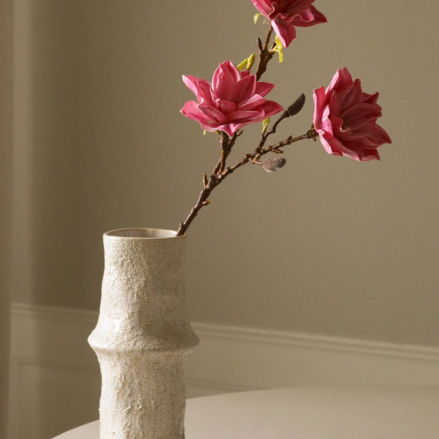 Magnolia - tak