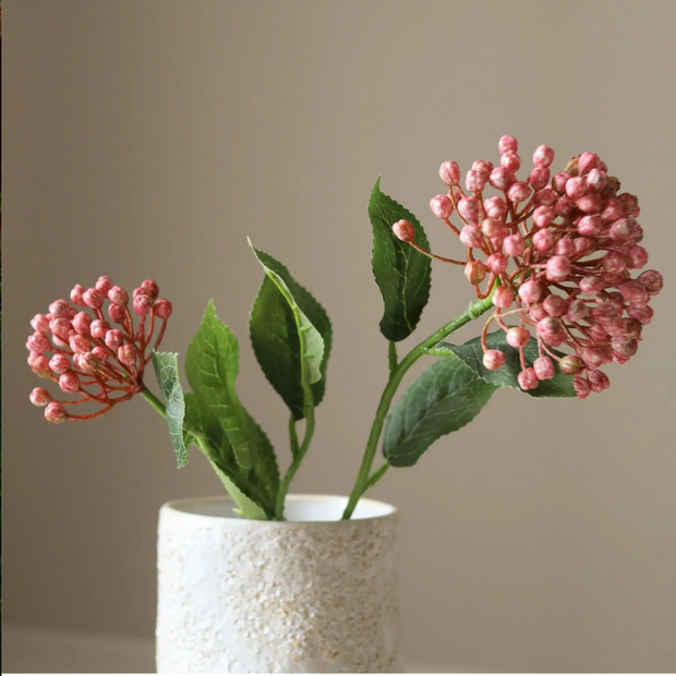Hortensia bes - tak
