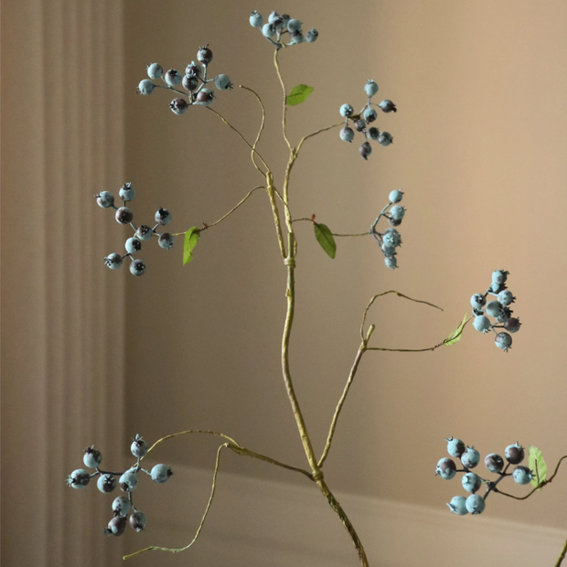 Bessen blauw - tak