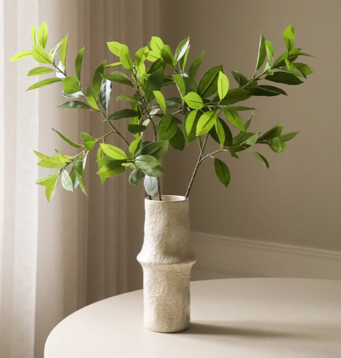 Ruscus blad - tak