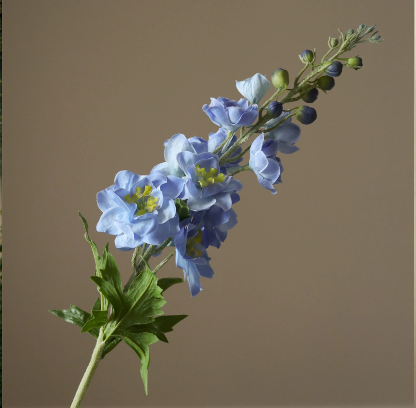 Deplhinium blauw