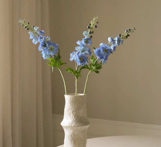 Deplhinium blauw