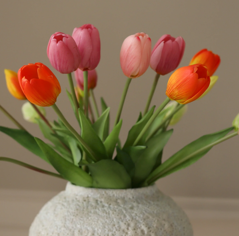 Tulpen mix