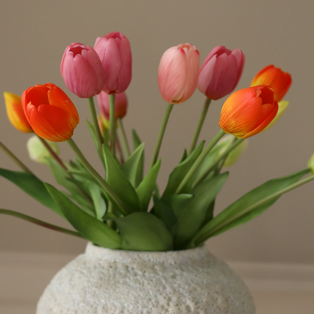 Tulpen mix