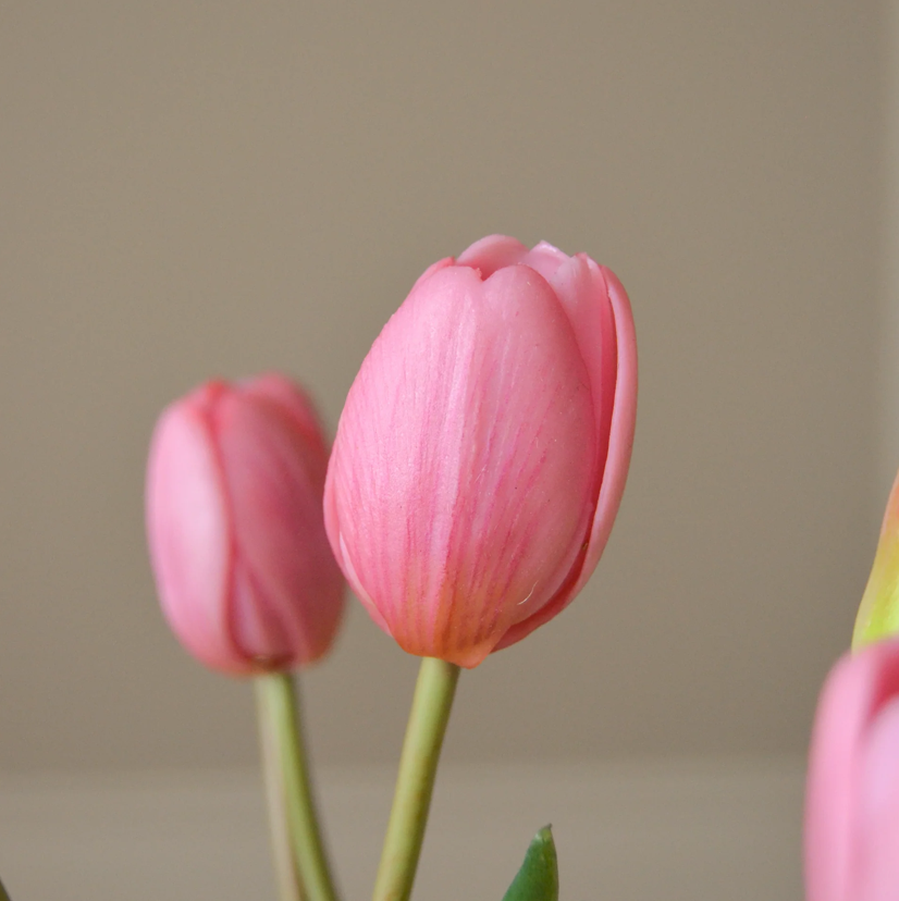 Tulpen bosje van 5