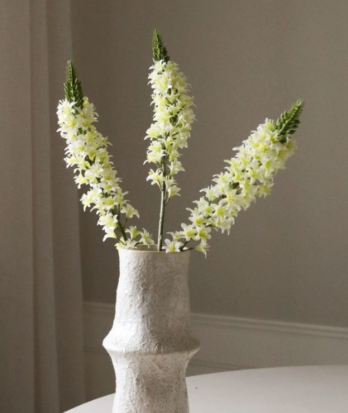 Eremurus (vossenstaartlelie) - wit