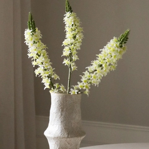 Eremurus (vossenstaartlelie) - wit