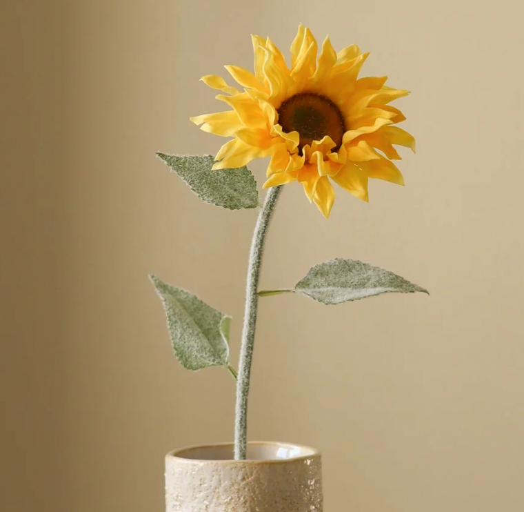 Zonnebloem