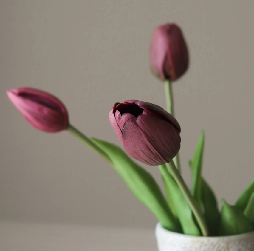 Tulpen bosje van 5