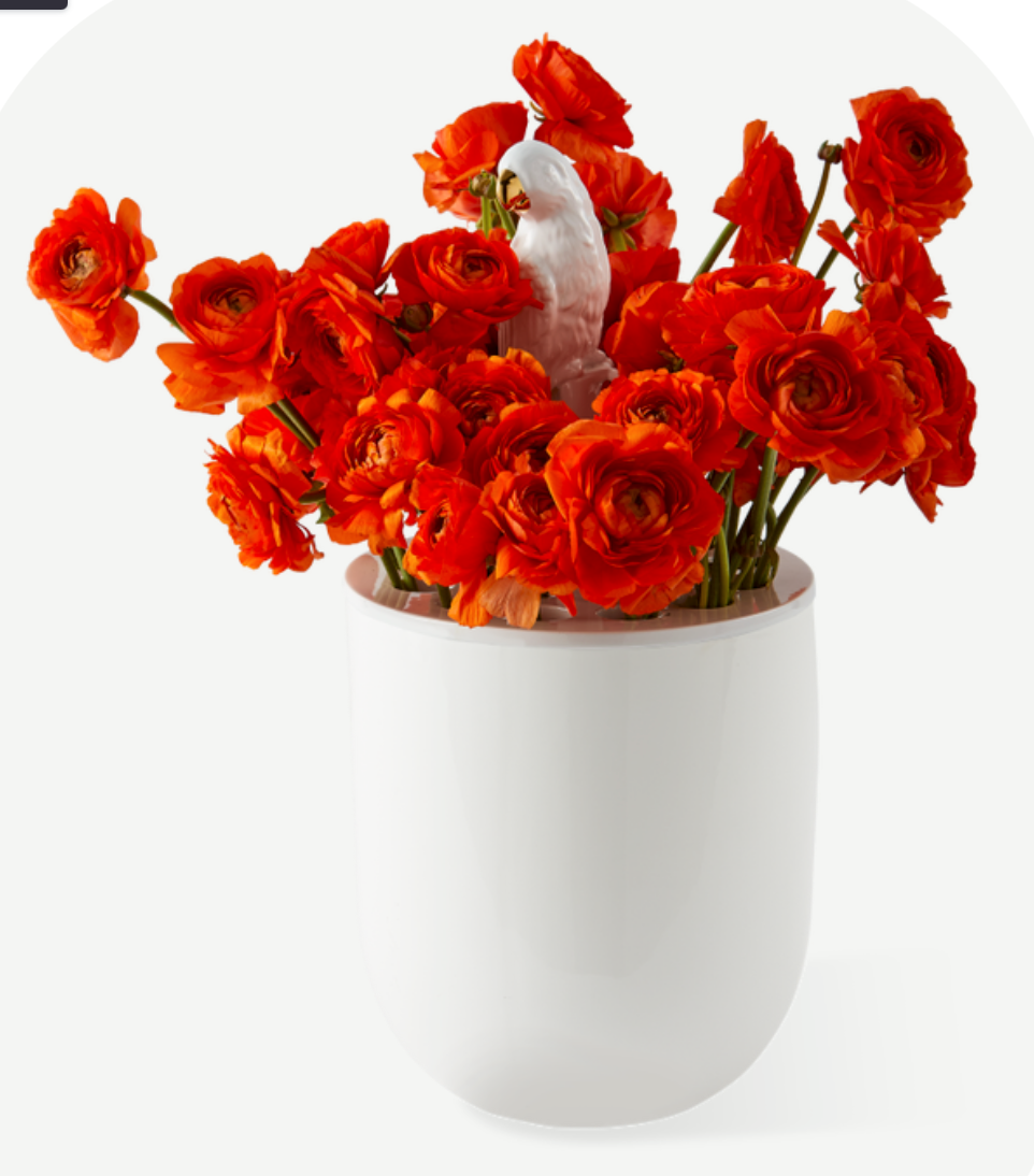 Bird watching vase