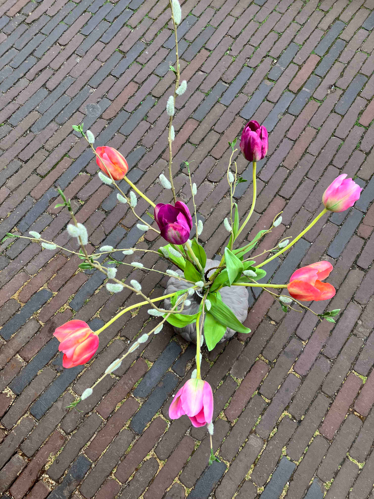Tulip Surprise