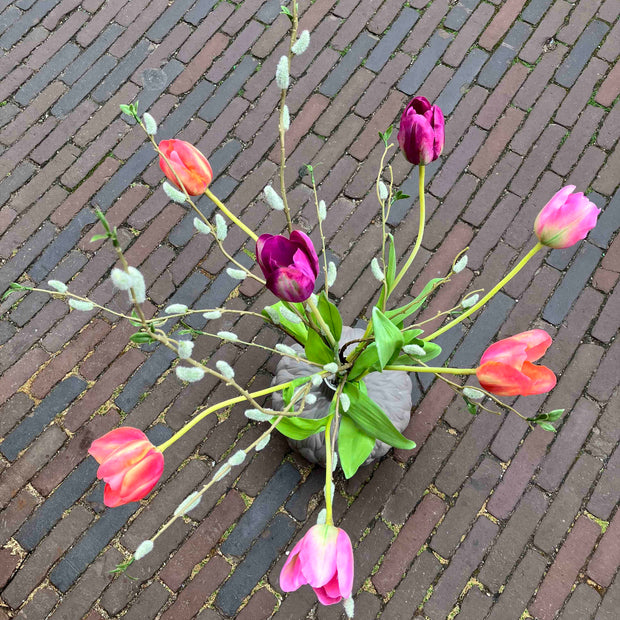 Tulip Surprise